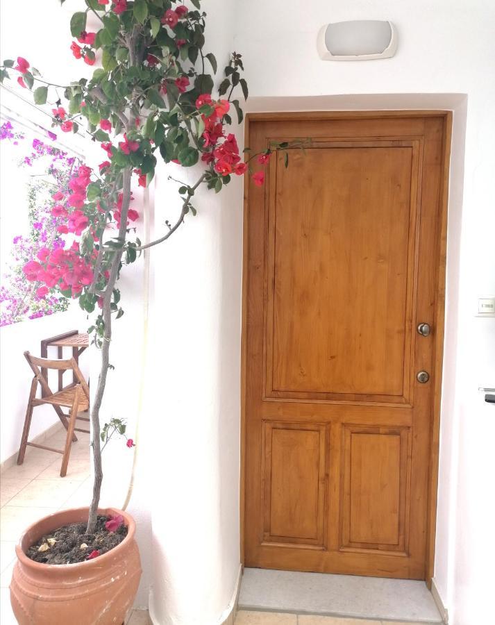 דירות Naxos City Casa Athena Naxos מראה חיצוני תמונה